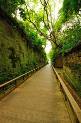 横須賀｜猿島