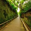 横須賀｜猿島