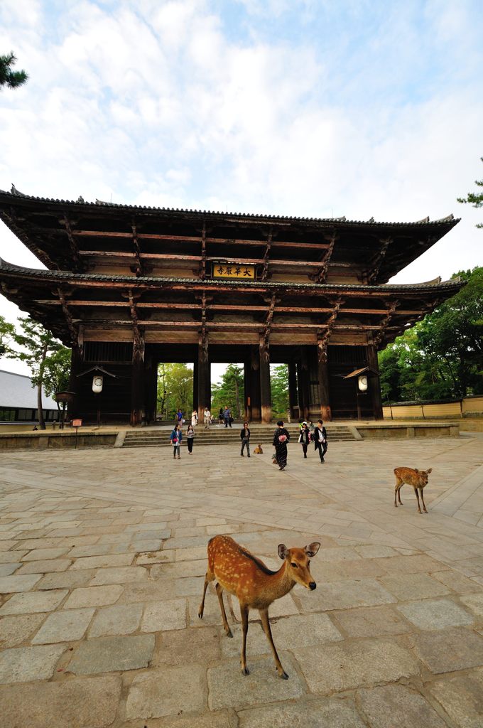 あをによし奈良｜東大寺南大門