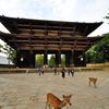 あをによし奈良｜東大寺南大門