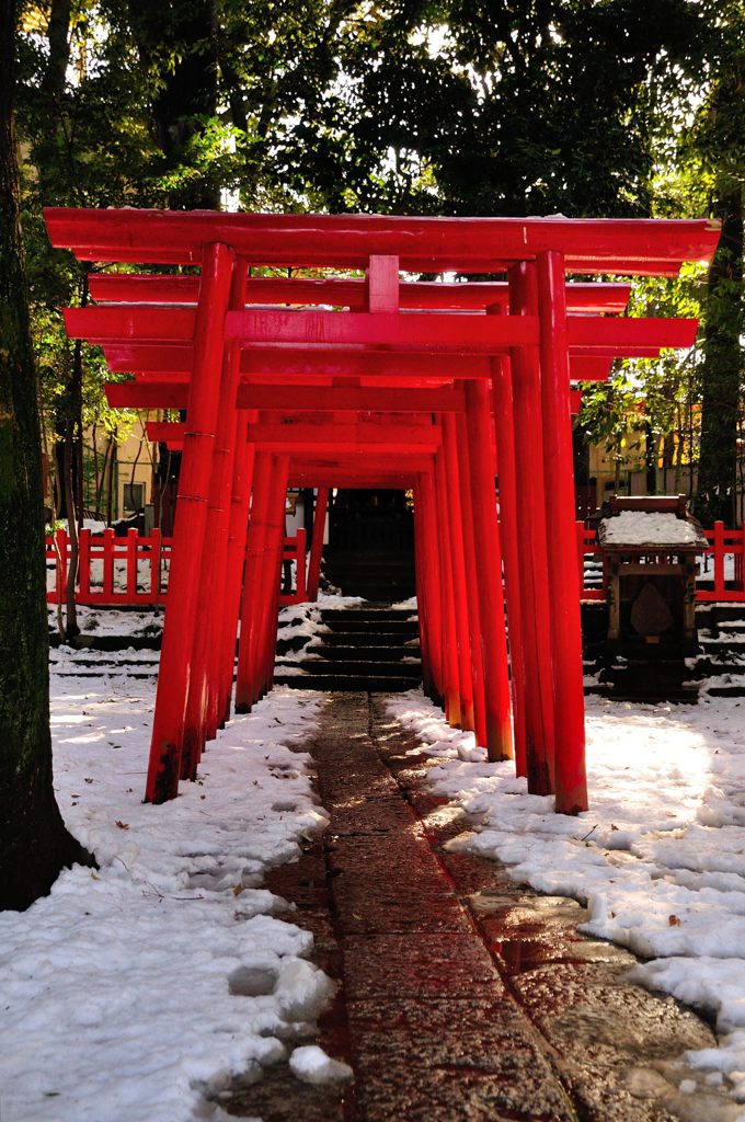 氷川神社｜稲荷神社鳥居