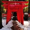 氷川神社｜稲荷神社鳥居