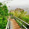 横須賀｜猿島