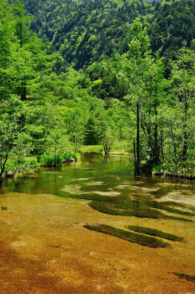 上高地｜田代池