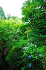 京都2014夏｜東福寺