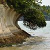 松島_151