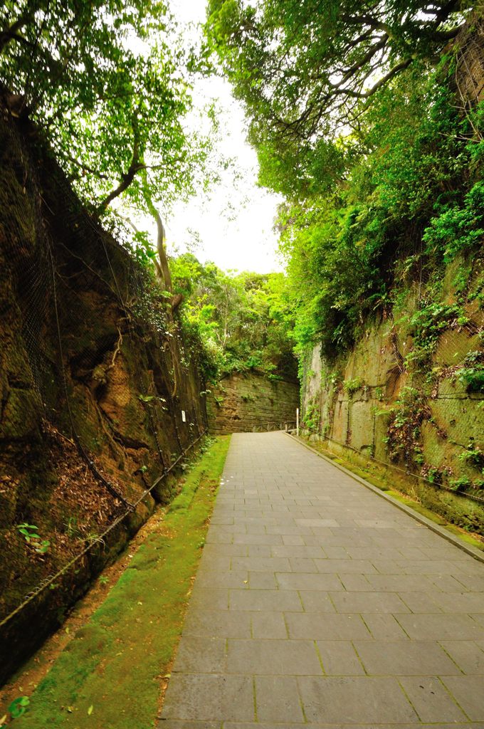 横須賀｜猿島