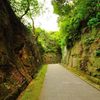 横須賀｜猿島