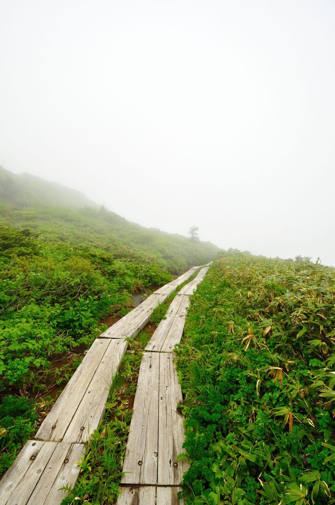 山形｜地蔵山登山道（復路）