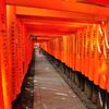 京都2014夏｜伏見稲荷