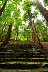 京都2014夏｜高山寺　金堂