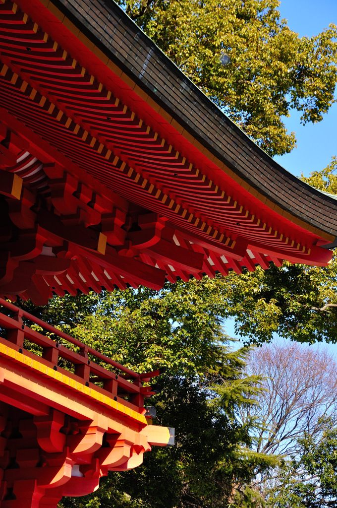 氷川神社｜楼門