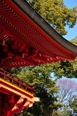 氷川神社｜楼門