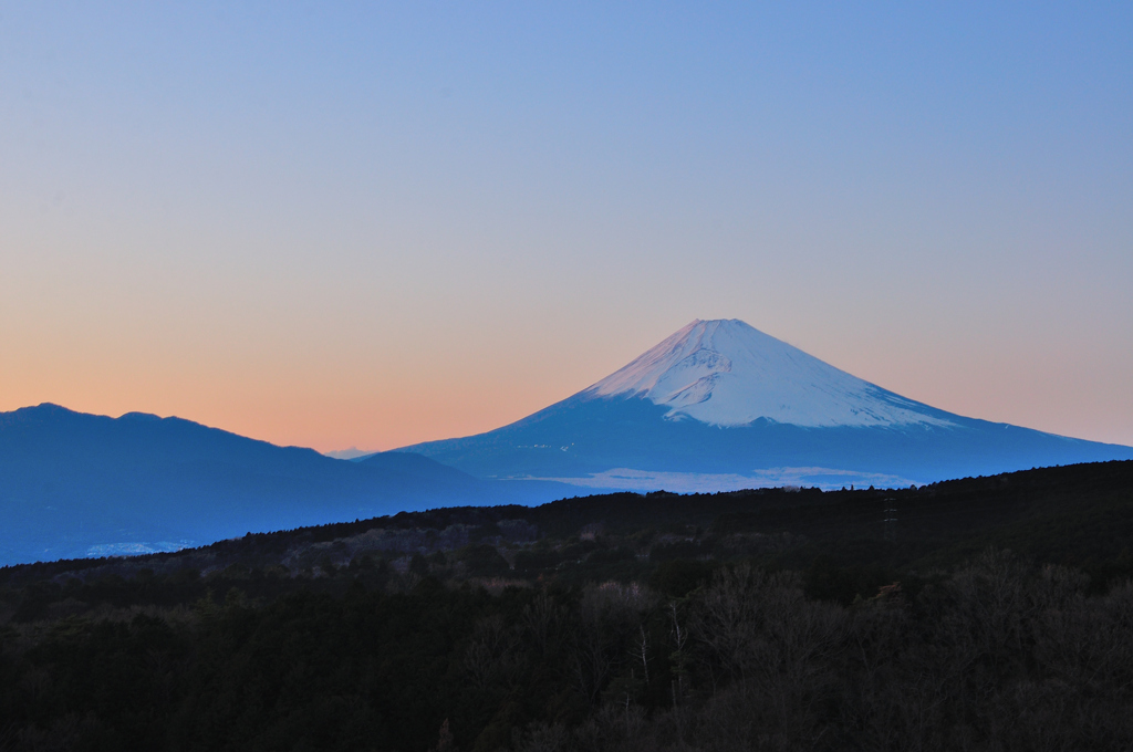 三島スカイウォーク