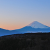 三島スカイウォーク