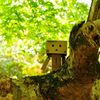 竹林院庭園にて