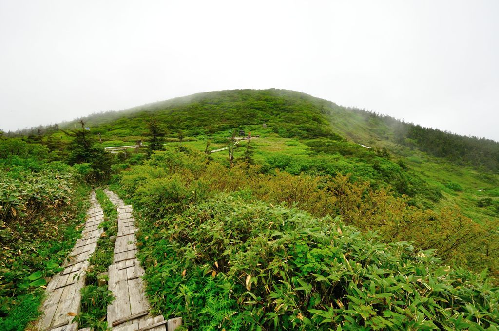 山形｜地蔵山登山道（復路）