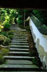 京都2014夏｜東福寺