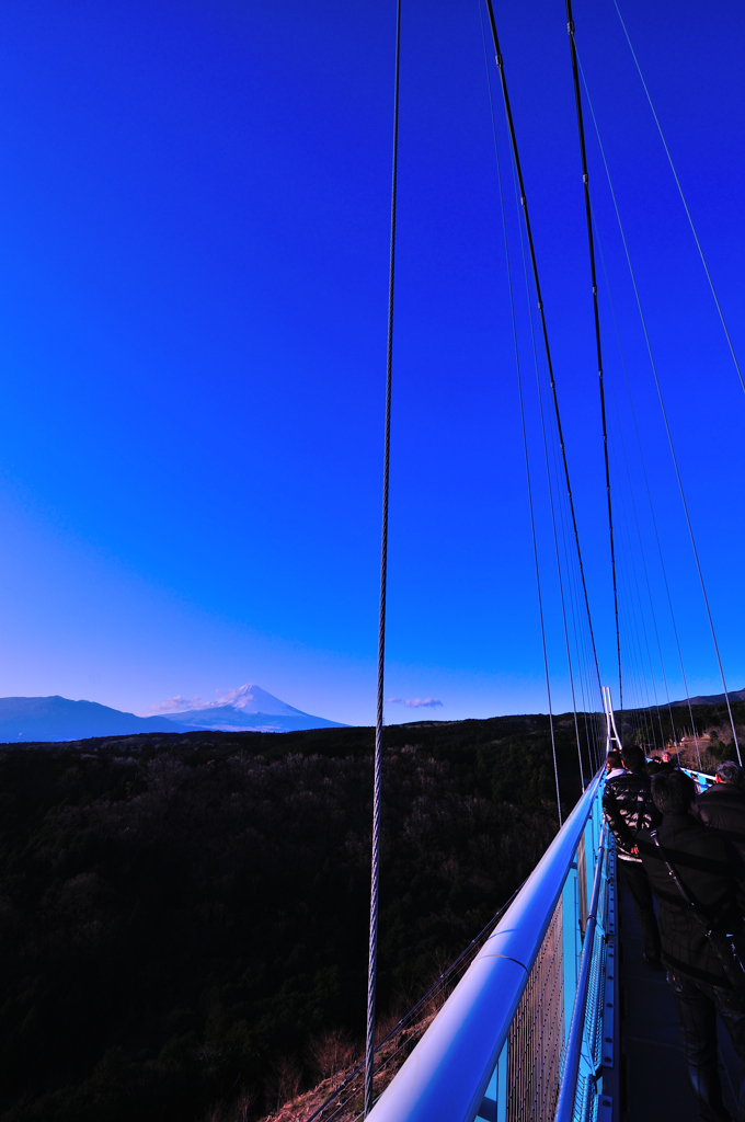 三島スカイウォーク