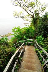 横須賀｜猿島