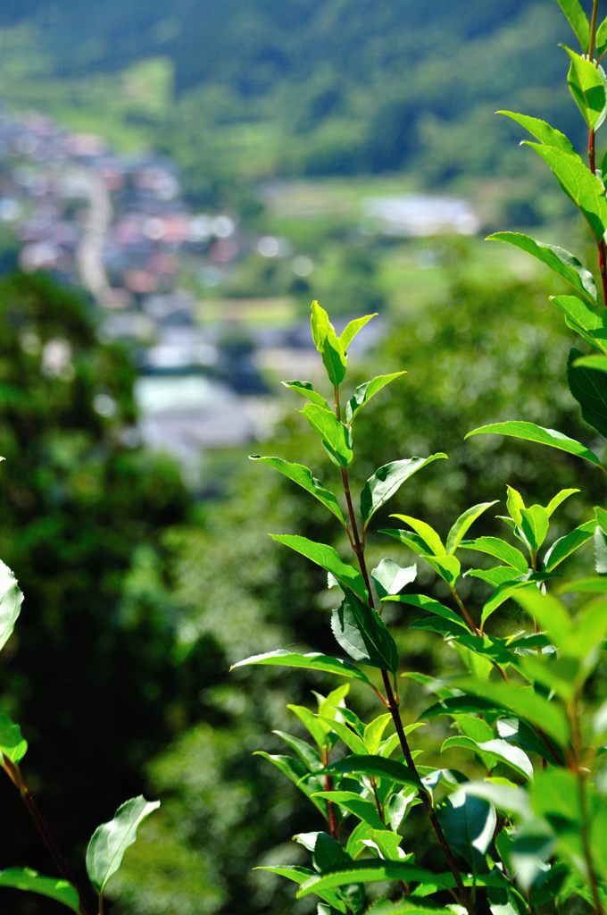 山形｜宝珠山 立石寺（山寺）　