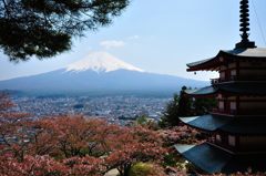 富士吉田｜新倉富士浅間神社　忠霊塔