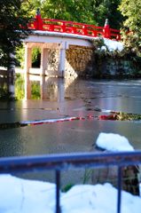 氷川神社｜水面が凍った神池