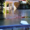 氷川神社｜水面が凍った神池