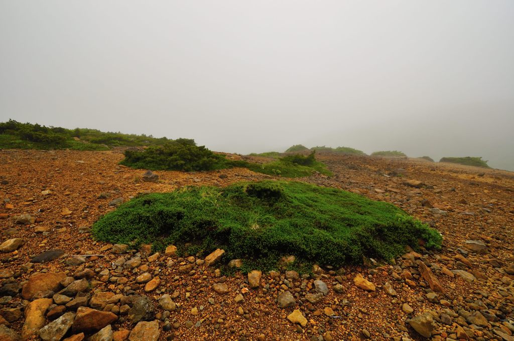 山形｜熊野岳登山道