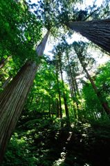 山形｜宝珠山 立石寺（山寺）石段