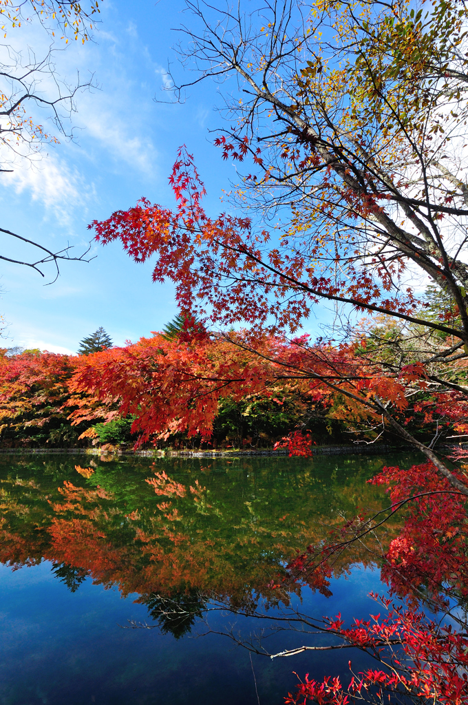 雲場池の紅葉