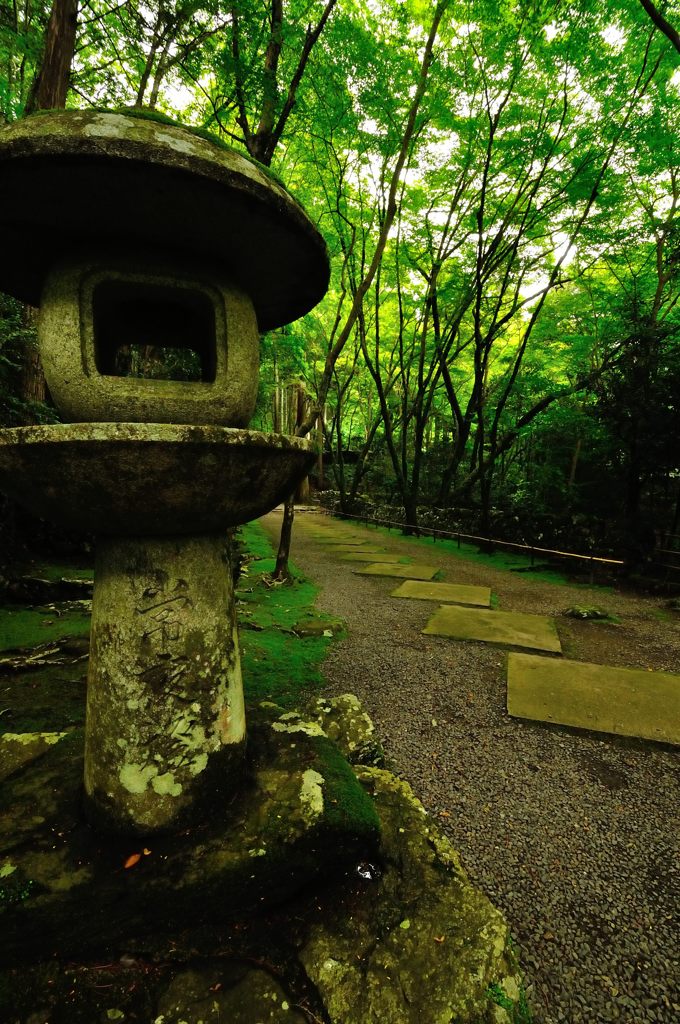 京都2014夏｜高山寺