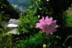 山形｜宝珠山 立石寺（山寺）　