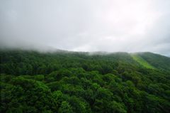 山形｜蔵王ロープウェイ山麓線