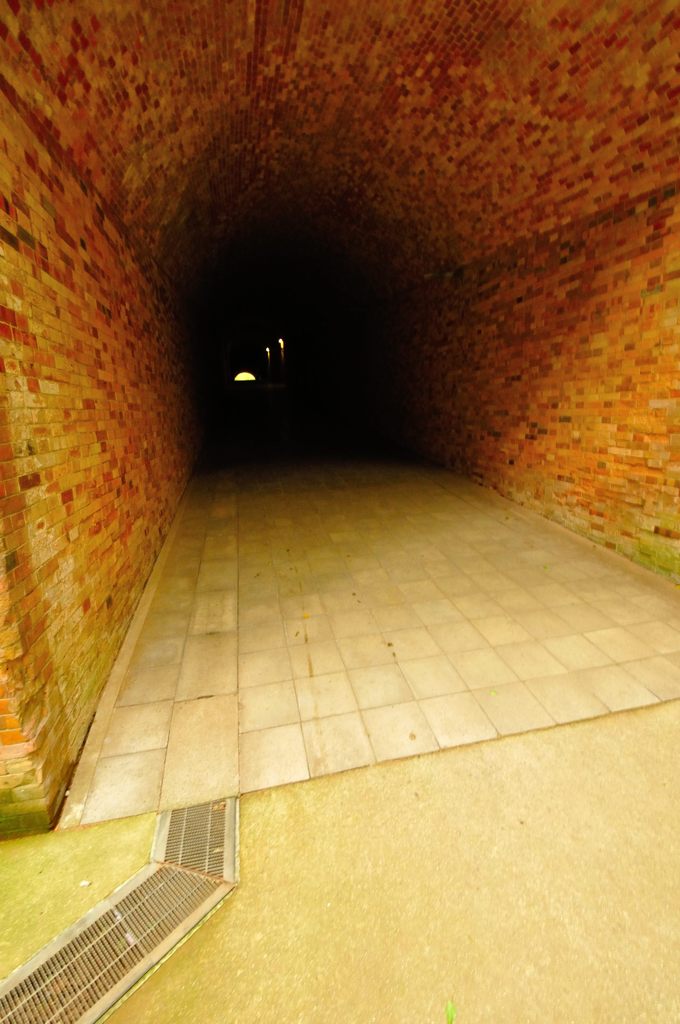 横須賀｜猿島