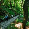 山山形｜宝珠山 立石寺（山寺）石段