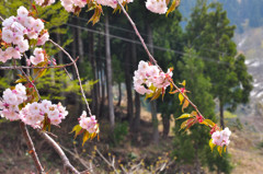 白山