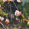 白山