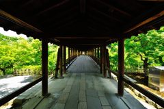 京都2014夏｜東福寺