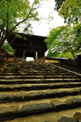 京都2014夏｜神護寺