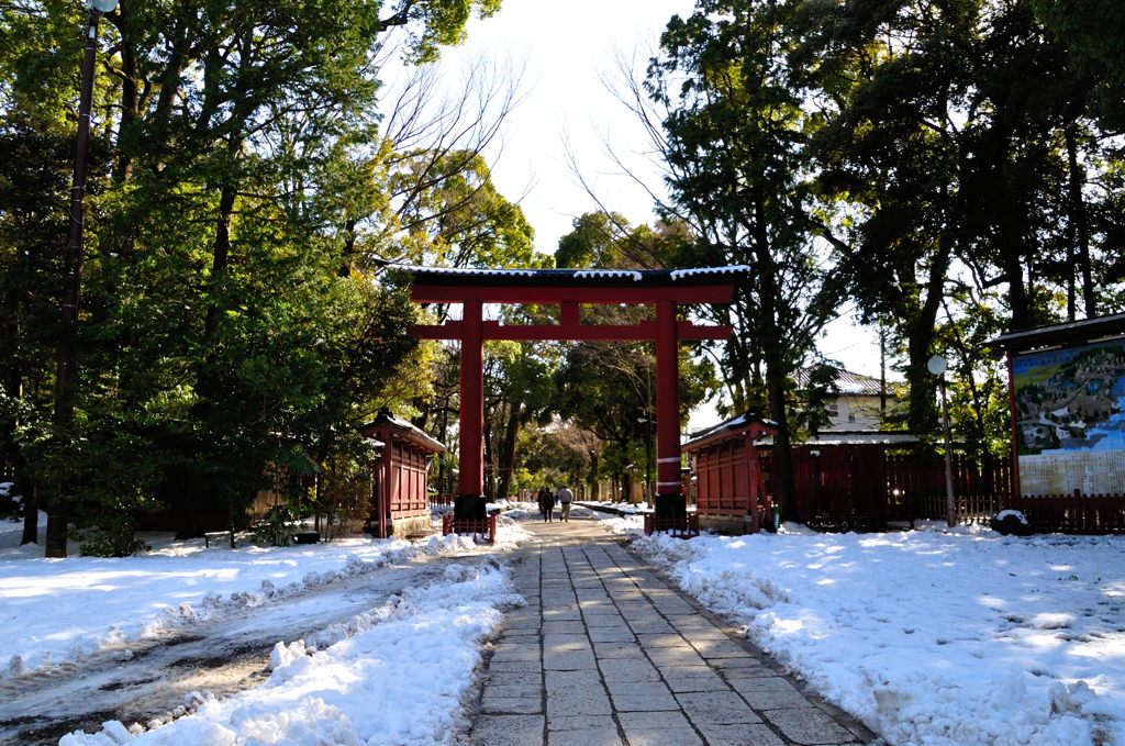 氷川神社｜振り返り