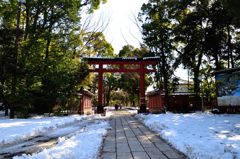 氷川神社｜振り返り