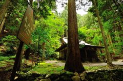 京都2014夏｜高山寺　金堂