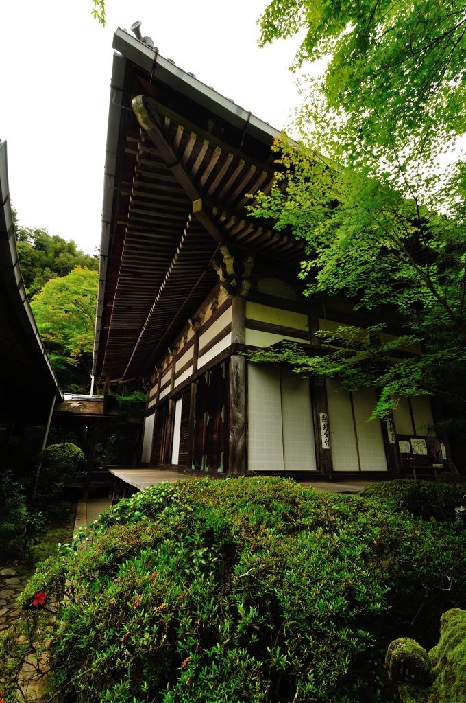 京都2014夏｜西明寺
