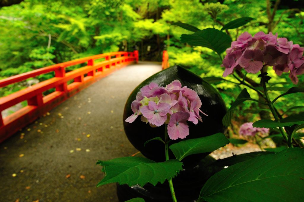 京都2014夏｜西明寺