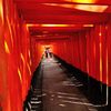京都2014夏｜伏見稲荷