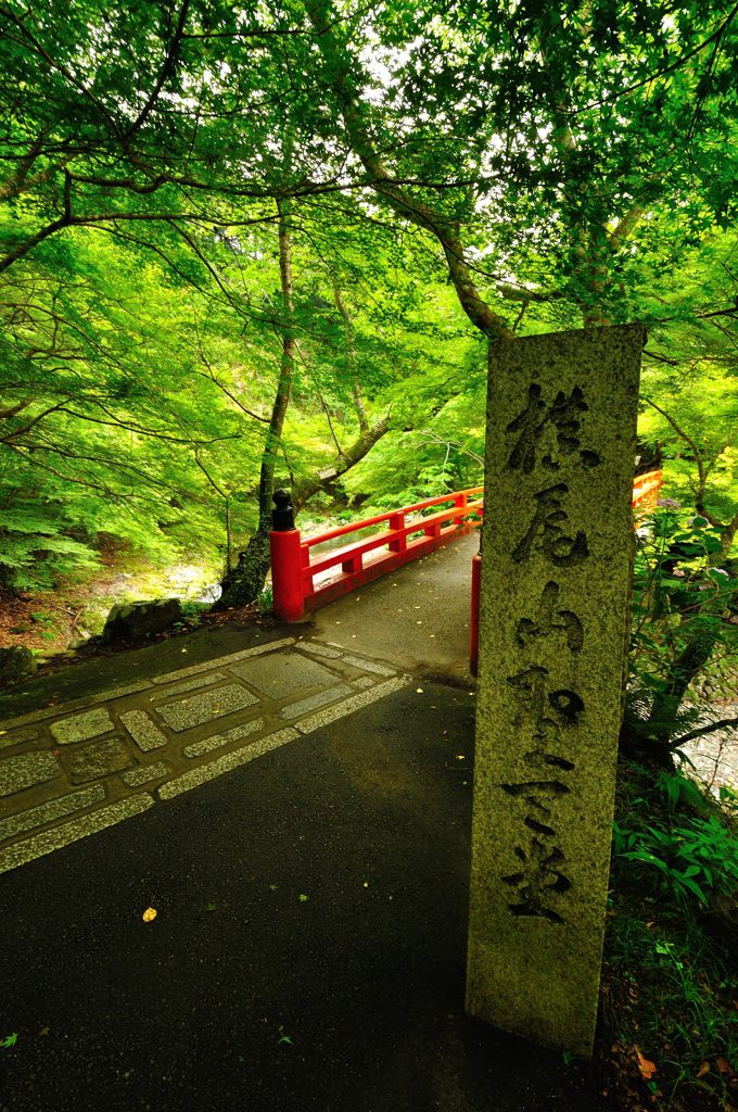 京都2014夏｜西明寺