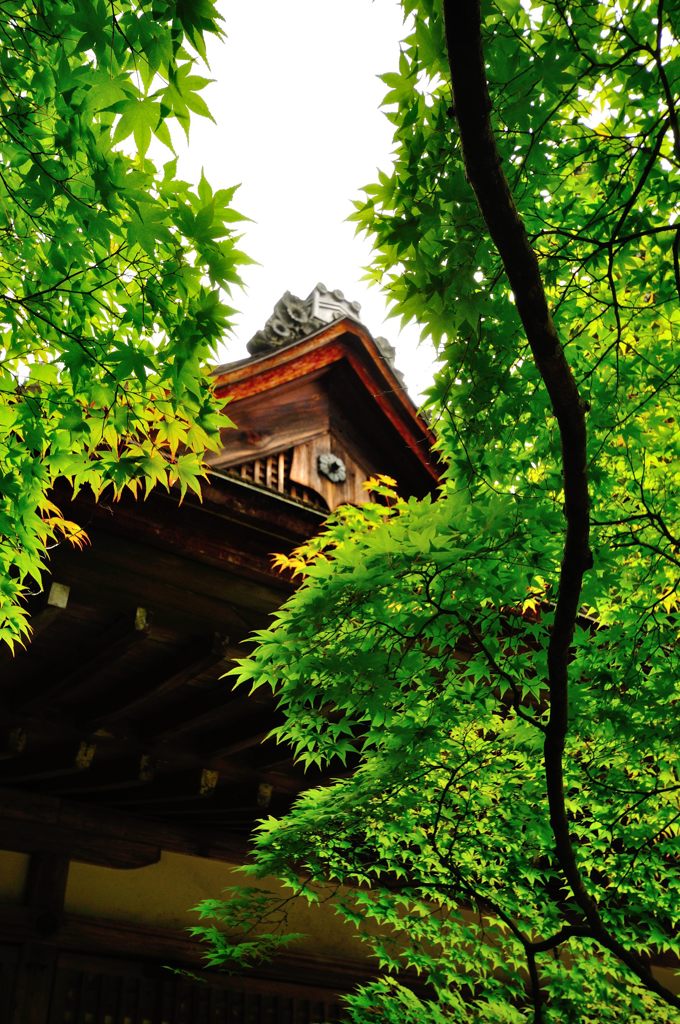 京都2014夏｜神護寺