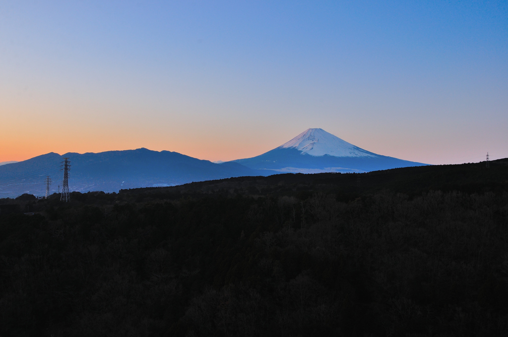 三島スカイウォーク