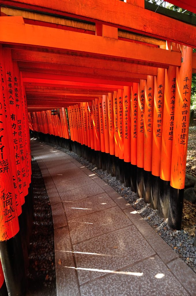 京都2014夏｜伏見稲荷